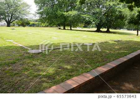 武蔵国国分寺跡 礎石（都立 武蔵国分寺公園／東京都国分寺市西元町） 65573643