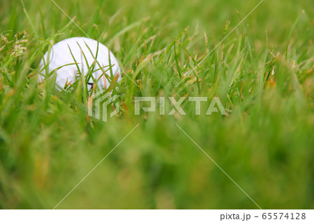 Golf ball on course Golf ball on course 65574128