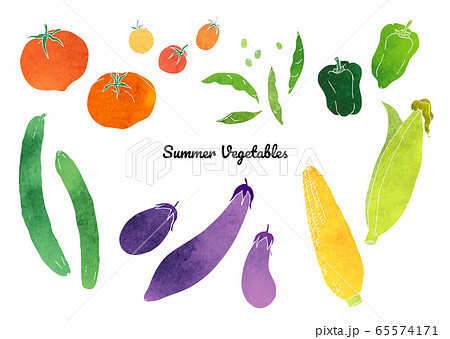 夏のいろんな野菜の素材イラスト 水彩 のイラスト素材