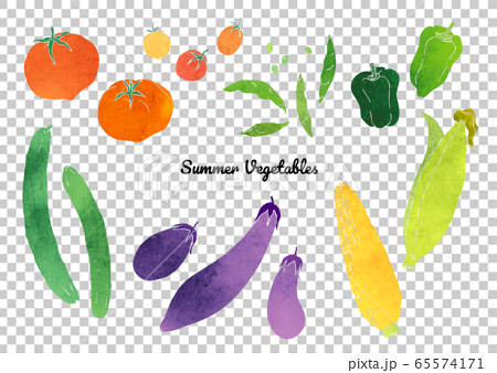 夏のいろんな野菜の素材イラスト 水彩 のイラスト素材