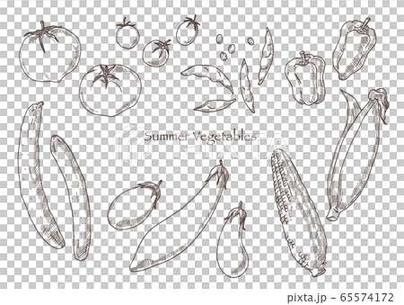 夏のいろんな野菜の素材イラスト（線画） 65574172