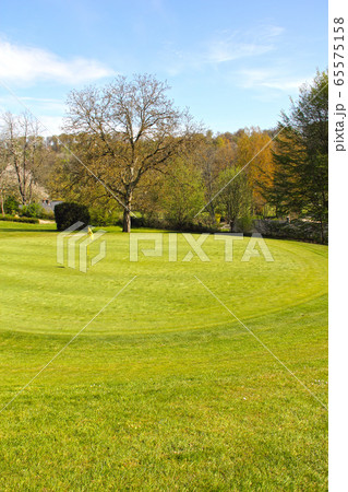 Beautiful spring landscape 65575158