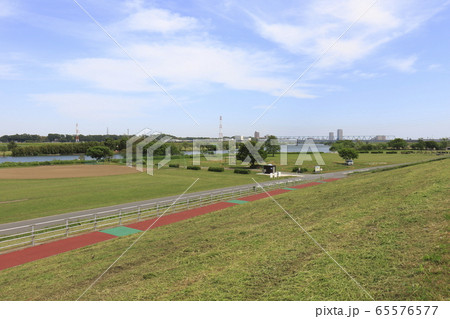 江戸川河川敷 葛飾区柴又 江戸川河川敷 葛飾区柴又 65576577