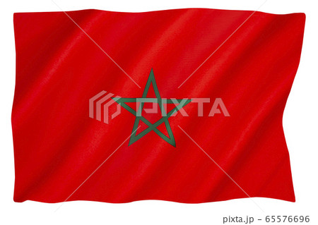 The national flag of Morocco 65576696