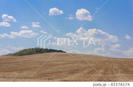 Rolling Farm Hills of Wheat Crop Fields on Sunny 65578174