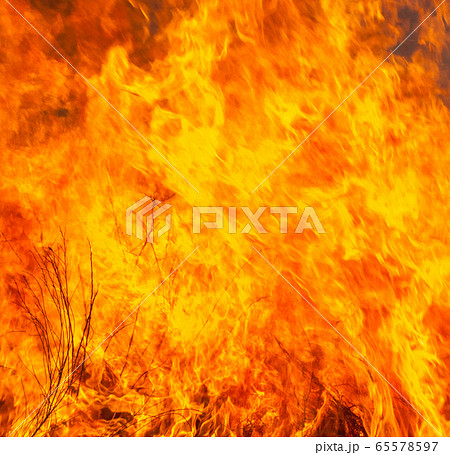 Big fire in the field Big fire in the field 65578597