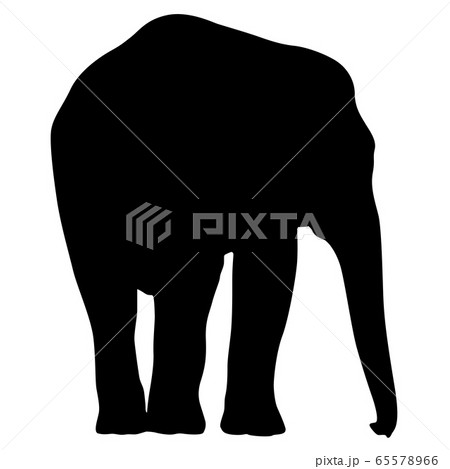 Silhouette large African elephant on a white 65578966