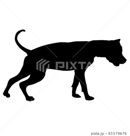 Dunker dog black silhouette on white background Dunker dog black silhouette on white background 65579676