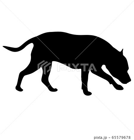 Dunker dog black silhouette on white background Dunker dog black silhouette on white background 65579678