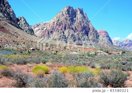 ラスベガス近郊　レッドロック・キャニオン公園 65580321