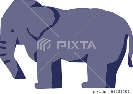 ゾウ 65581501