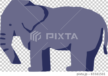 elephant  65581501