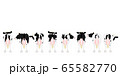 ホルスタイン種の牛　列　後ろ向き 65582770
