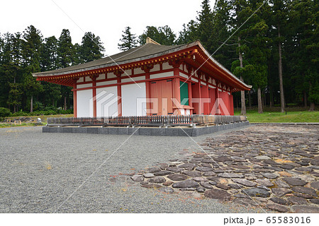 慧日寺(えにちじ）跡へ行きました　＃40 65583016