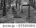 鞍ヶ池公園 65583064