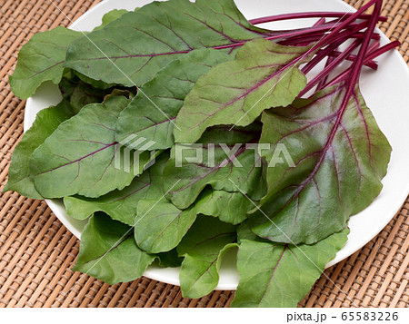 ハーブ　ビーツ 65583226