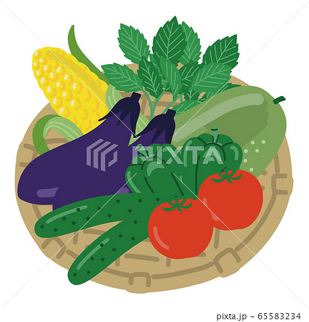 野菜 夏野菜 セットのイラスト素材 [65583234] - PIXTA