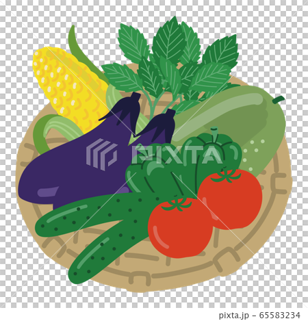 Vegetable summer vegetables set Vegetable summer vegetables set 65583234