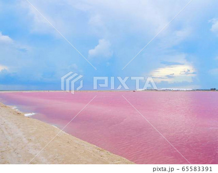 メキシコ ピンクレイクの写真素材