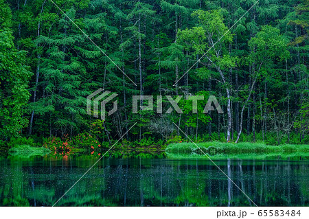 御射鹿池（６月） 65583484