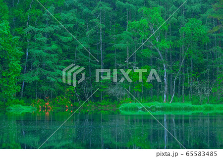 御射鹿池（６月） 65583485