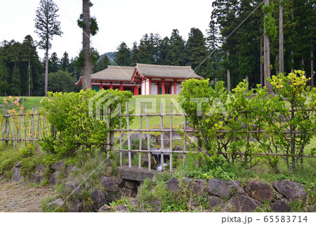 慧日寺(えにちじ)跡へ行きました #57 慧日寺(えにちじ)跡へ行きました #57 65583714