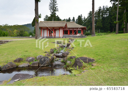 慧日寺(えにちじ）跡へ行きました　＃53 65583718