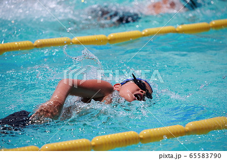 水泳大会 水泳大会 65583790