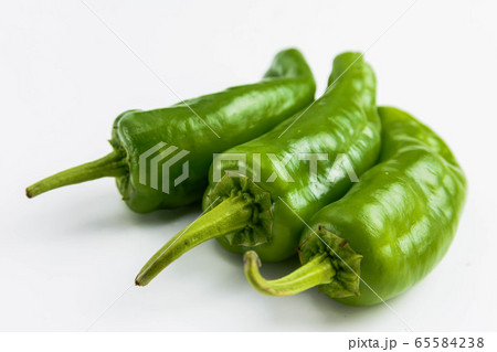 高知野菜 土佐甘とう 高知野菜 土佐甘とう 65584238