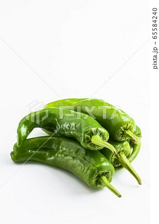 高知野菜　土佐甘とう 65584240