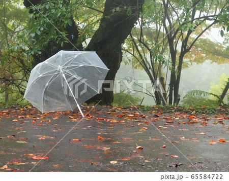 林道に忘れられた「ビニール傘」イメージ風景 65584722
