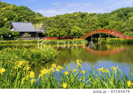 春の金沢八景、称名寺の庭園 65584979