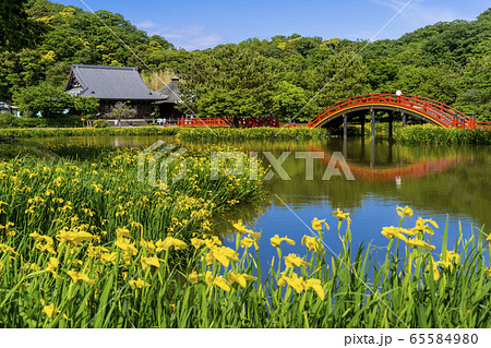 春の金沢八景、称名寺の庭園 65584980