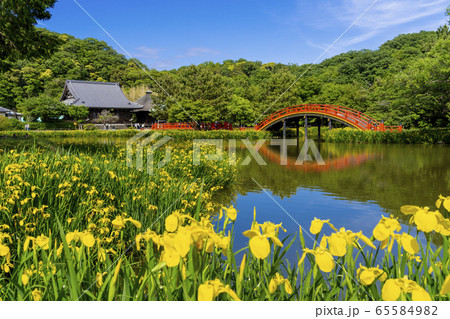 春の金沢八景、称名寺の庭園 65584982
