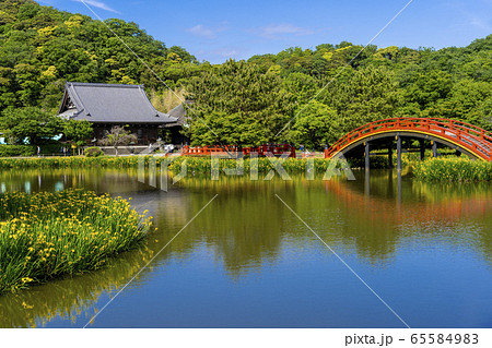 春の金沢八景、称名寺の庭園 65584983