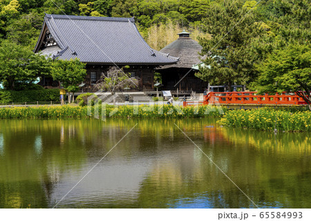春の金沢八景、称名寺の庭園 65584993