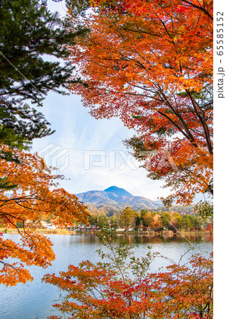長野県 紅葉に染まる蓼科湖と蓼科山 長野県 紅葉に染まる蓼科湖と蓼科山 65585152
