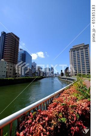 大阪中之島 65585183