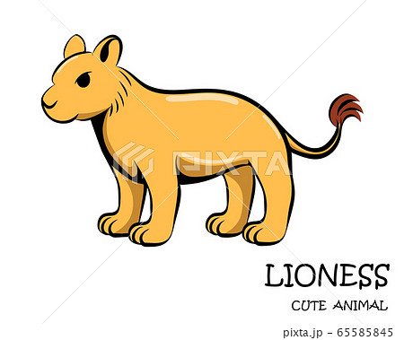 Vector illustration cartoon on a white background of a cute lioness. Vector illustration cartoon on a white background of a cute lioness. 65585845