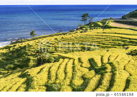 秋の能登半島、白米の千枚田 65586198