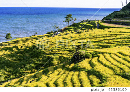 秋の能登半島、白米の千枚田 65586199