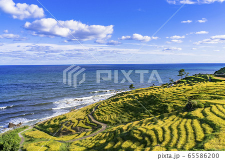 秋の能登半島、白米の千枚田 65586200
