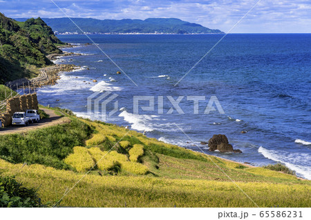 秋の能登半島、白米の千枚田 65586231