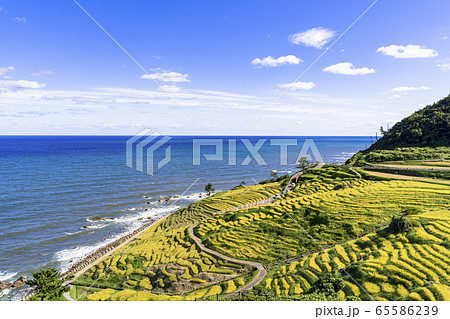 秋の能登半島、白米の千枚田 65586239