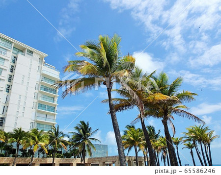 カンクンのビーチ カンクンのビーチ 65586246