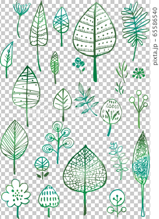 Scandinavian style: wood hand drawn line drawing leaf green illustration icon gradation watercolor natural 65586540