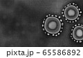 顕微鏡で見た新型コロナウィルスイメージCGコピースペースあり 65586892