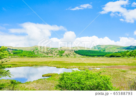 信州・八島ヶ原湿原（八島湿原）の風景：６月 65588793