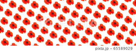 Pattern made of poppy flower on white background, isolated. 65589029