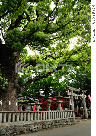 糸我稲荷神社　【和歌山県有田市糸我】 65589554